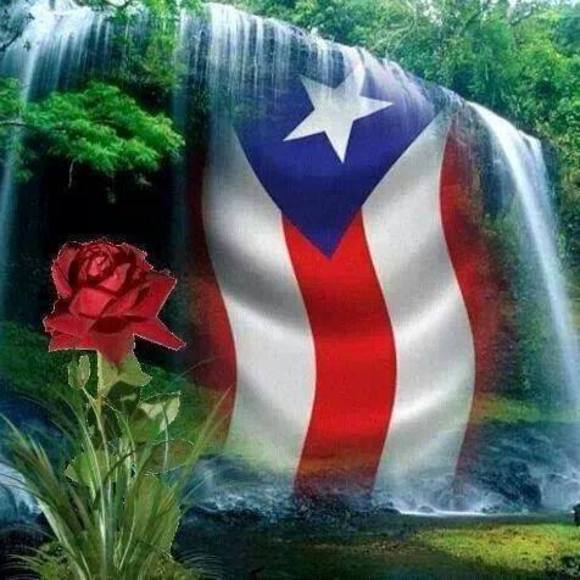 Meet your Posher, Iraida - Picture 1 of 1